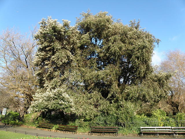 PC060196