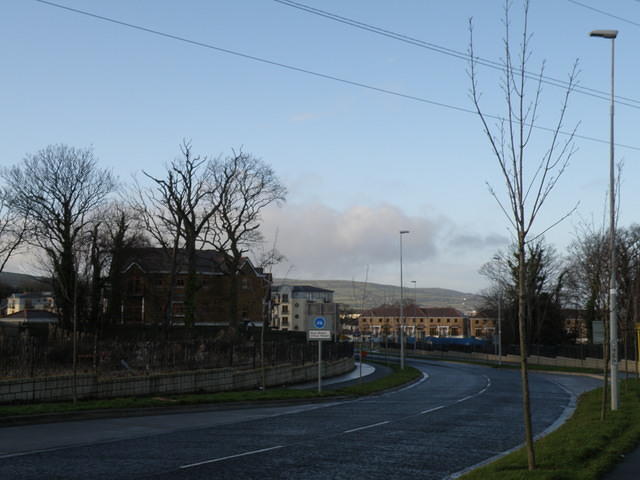 PC090286 213977