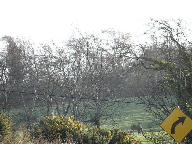 PC090294