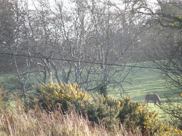 PC090295