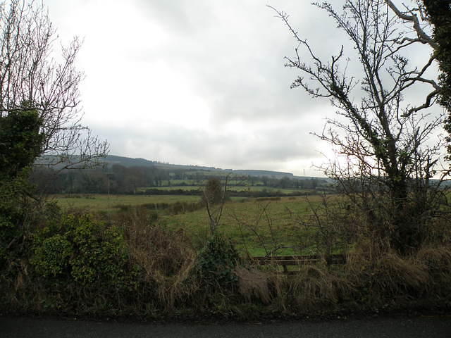 PC130419