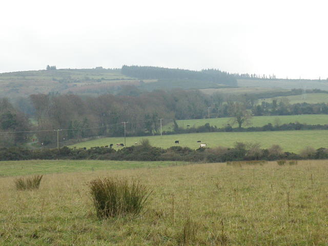 PC130421