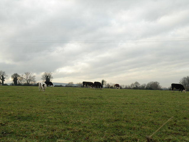 PC130423