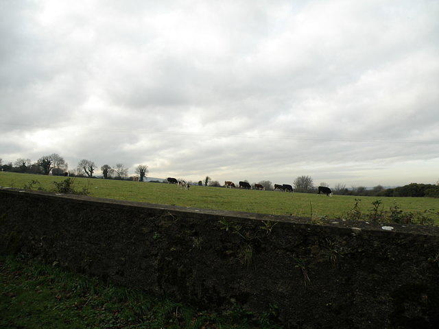 PC130429
