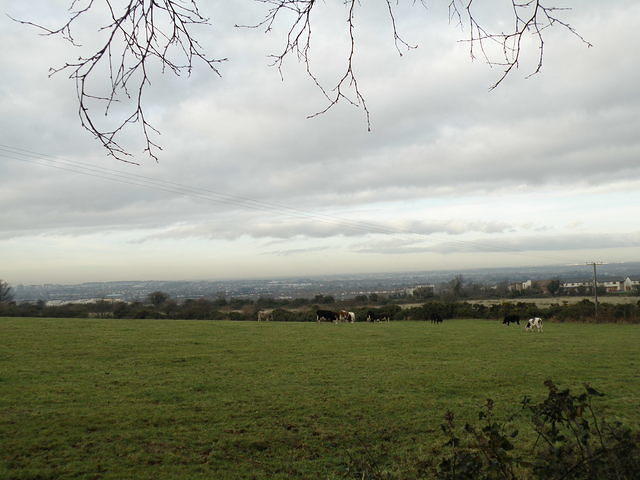 PC130430