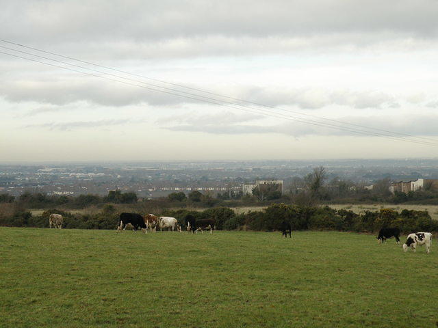 PC130431