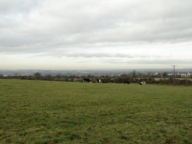 PC130432