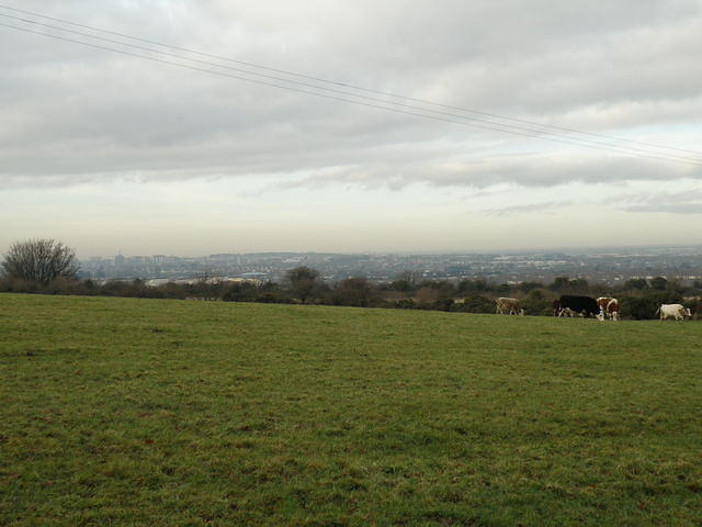 PC130433
