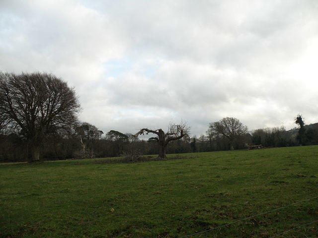 PC130436