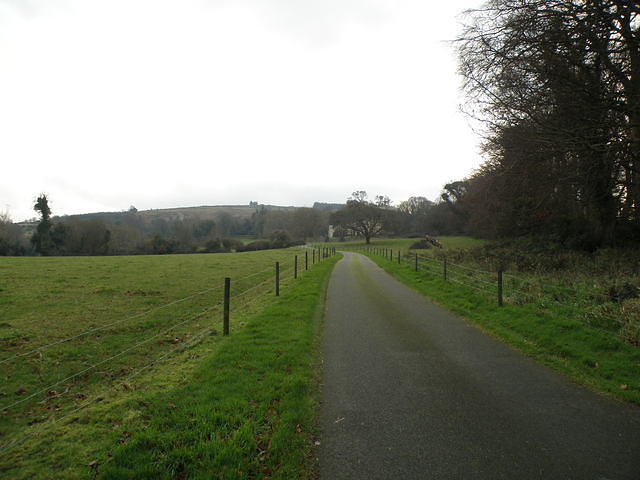 PC130438