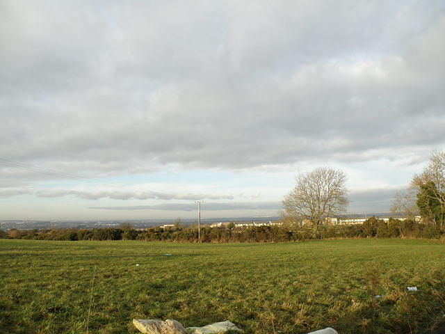 PC130449