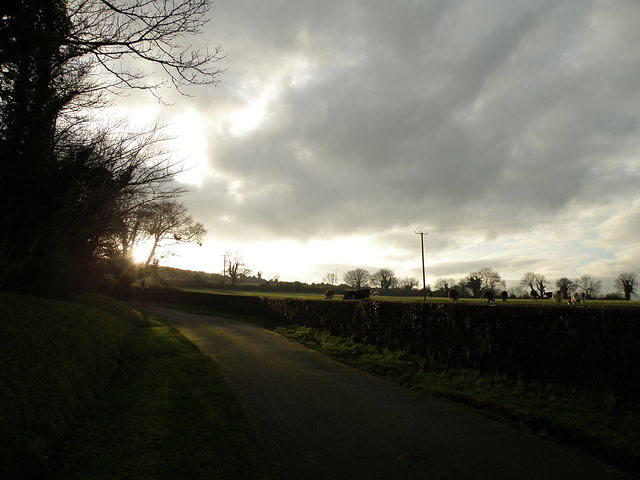 PC130450