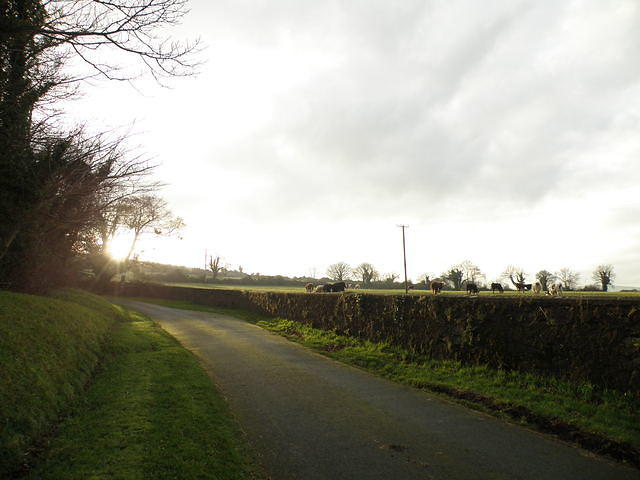 PC130451