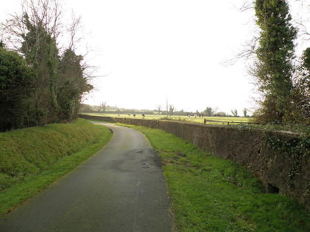 PC130452