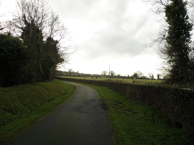 PC130453