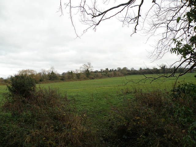 PC130455