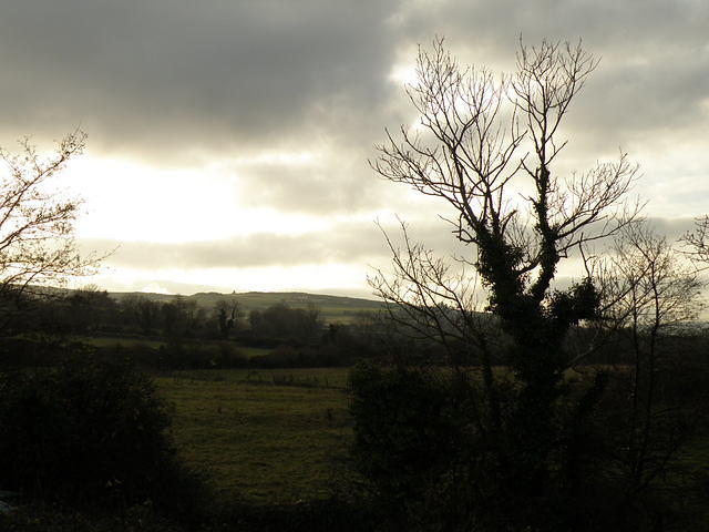 PC130466