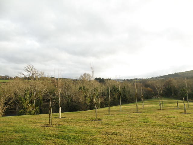 PC130469