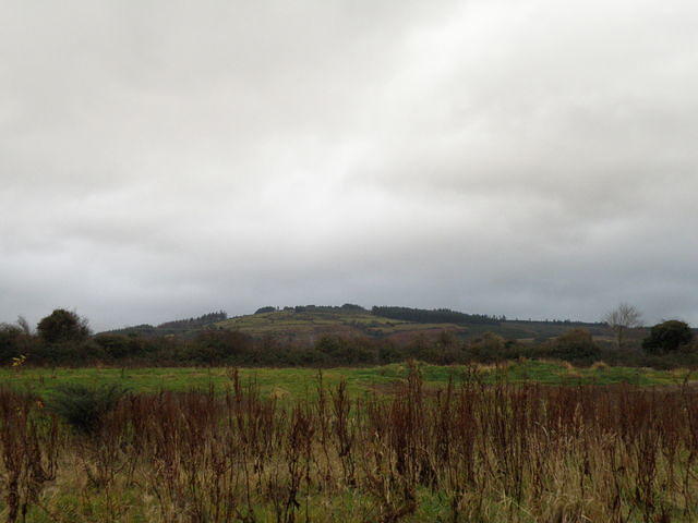 PC150492