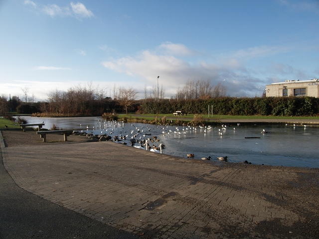 PC173755
