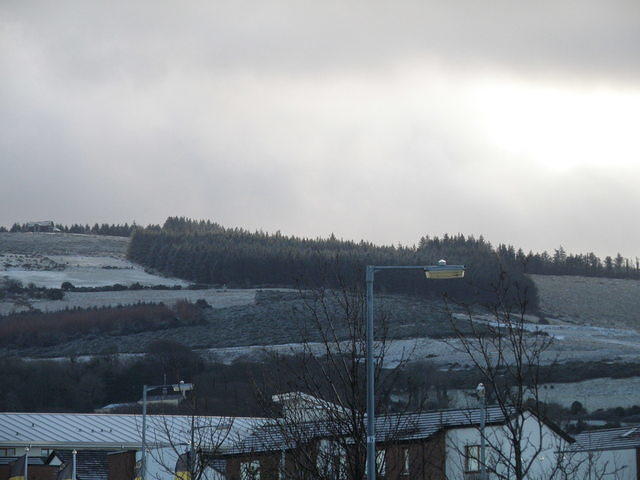 PC200533
