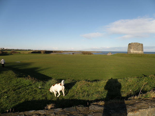 PC270656
