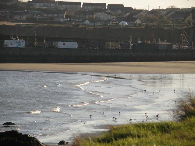 PC270679