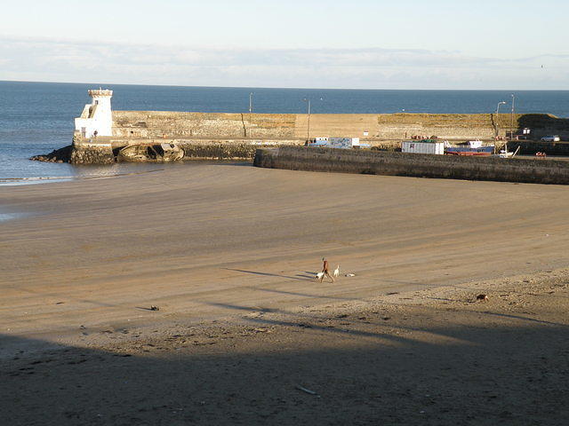 PC270783