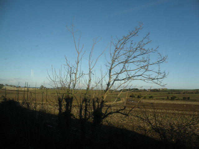 PC270794