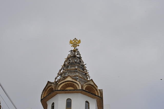  DSC1796