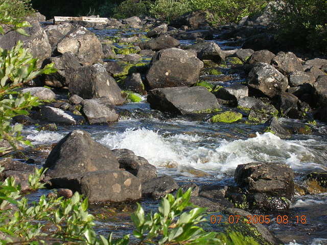 DSCN0472