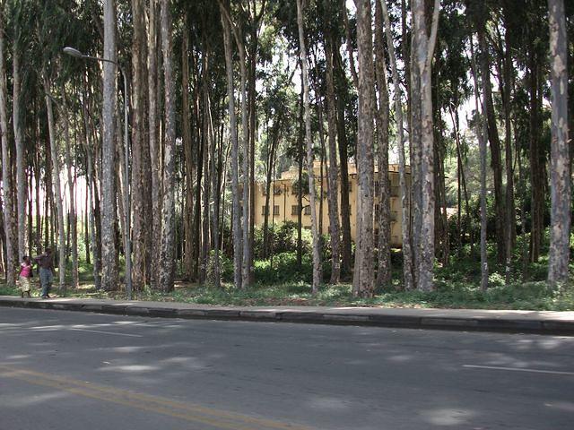 DSCF5277