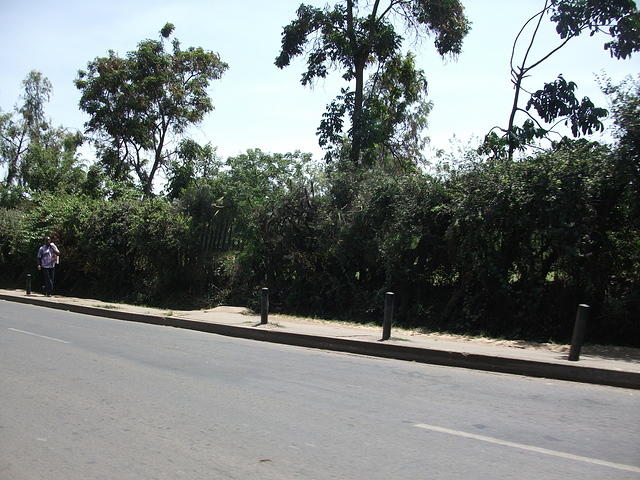 DSCF5279