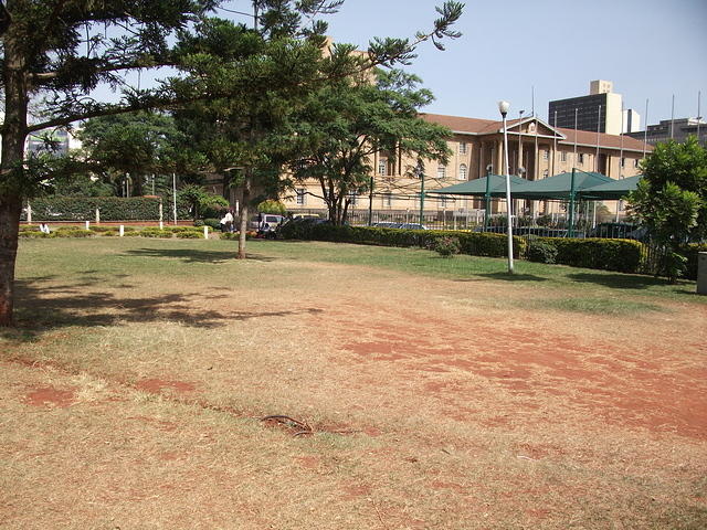 DSCF5375