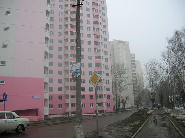DSCN4731