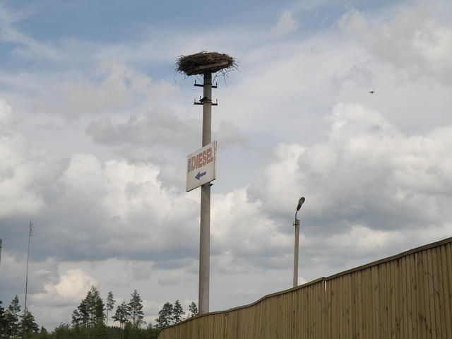 P8090126