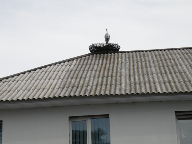 P8090132