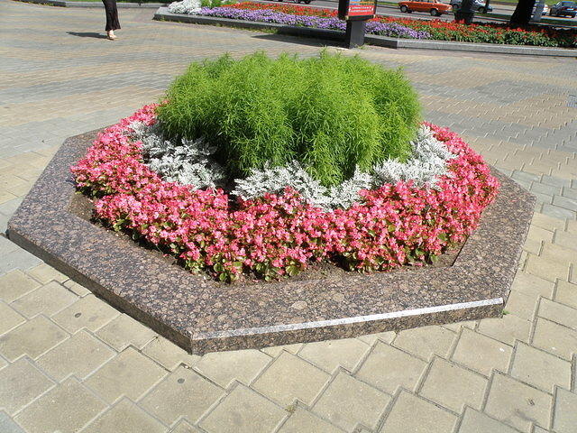 P8100201