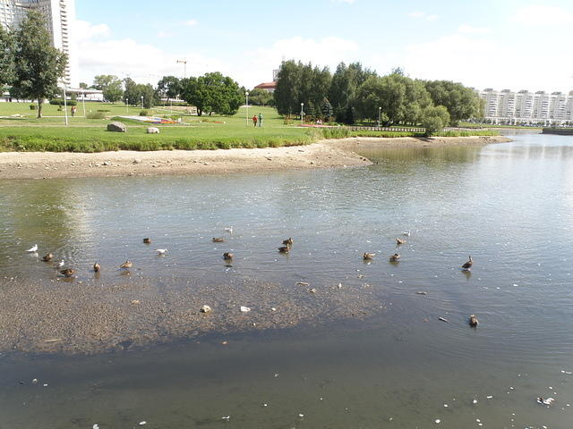 P8100206