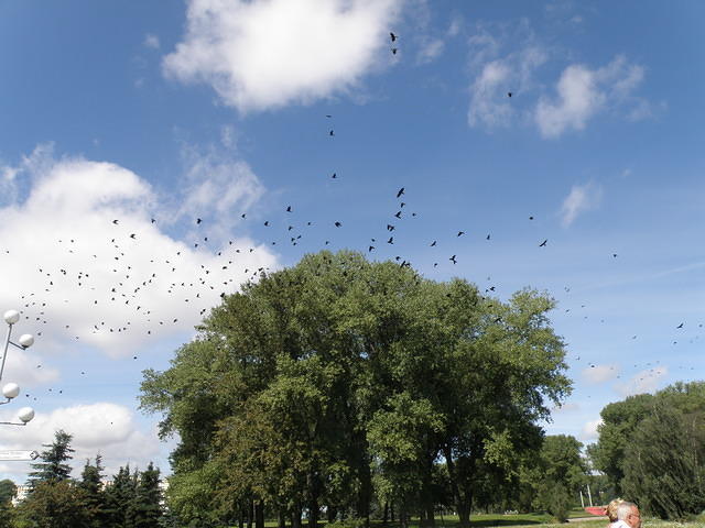 P8100207