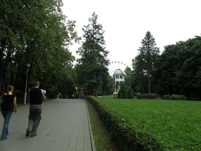 P8110353