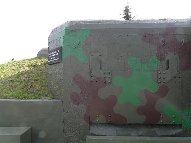 P8120479