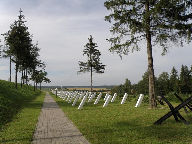 P8120481 214939