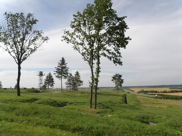 P8120494