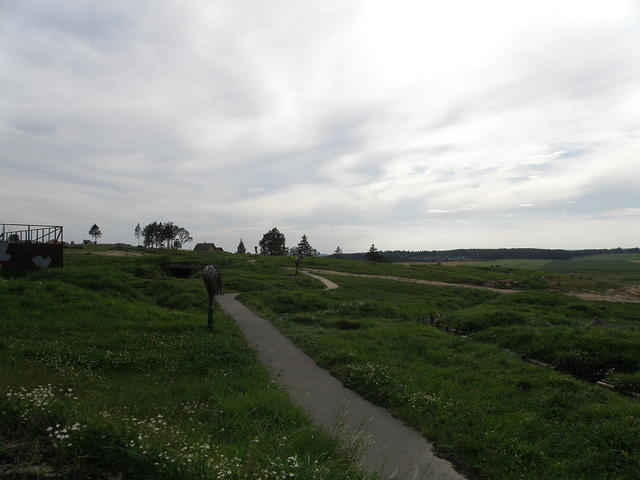 P8120531