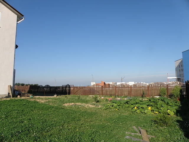 P8140606