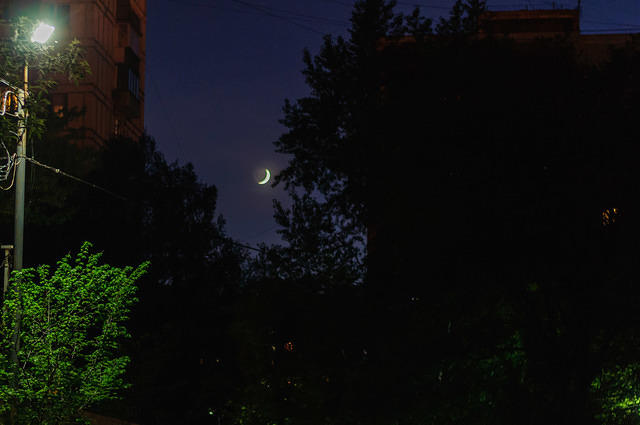  DSC7127