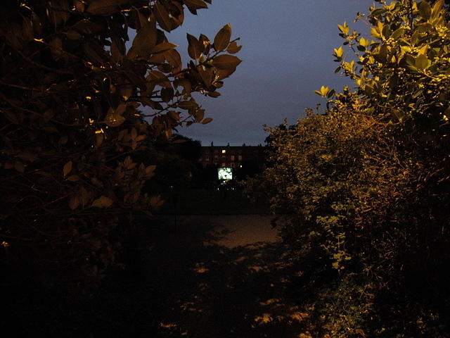 P8020328