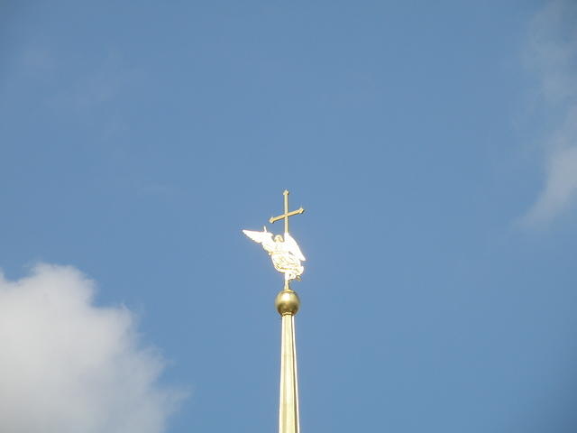 P8290194