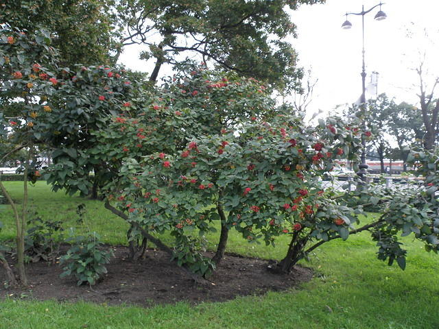 P8290286